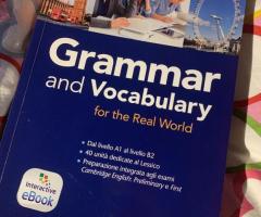 Grammar and Vocabulary